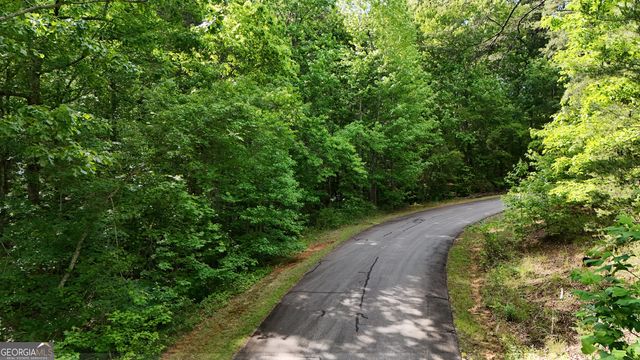 0 Terry Court, Clarkesville, GA 30523
