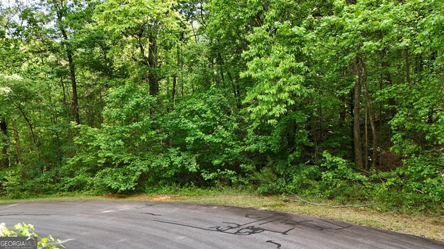 0 Terry Court, Clarkesville, GA 30523