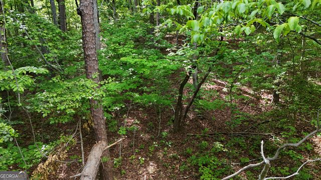 0 Terry Court, Clarkesville, GA 30523