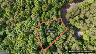 0 Terry Court, Clarkesville, GA 30523