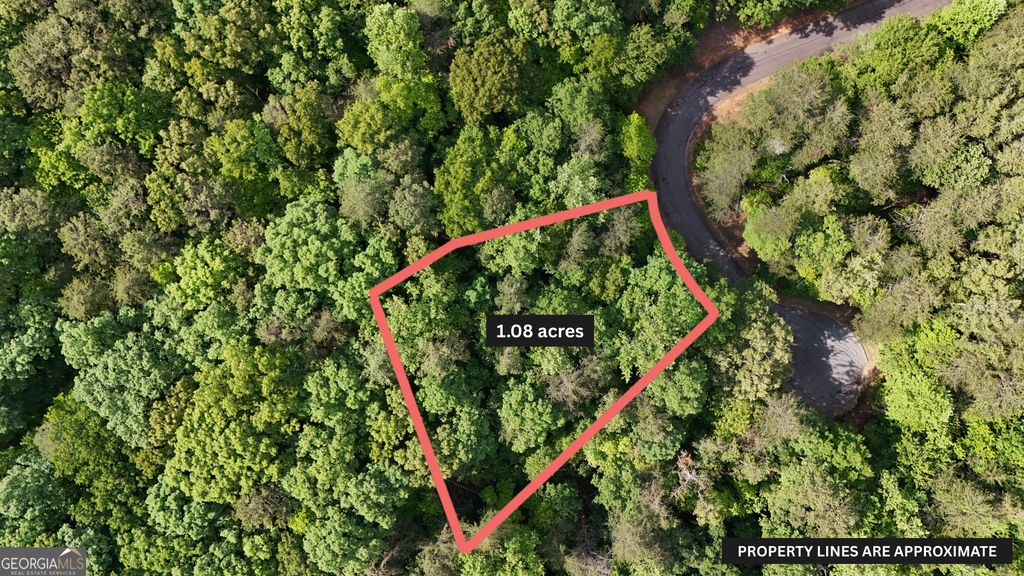 0 Terry Court, Clarkesville, GA 30523