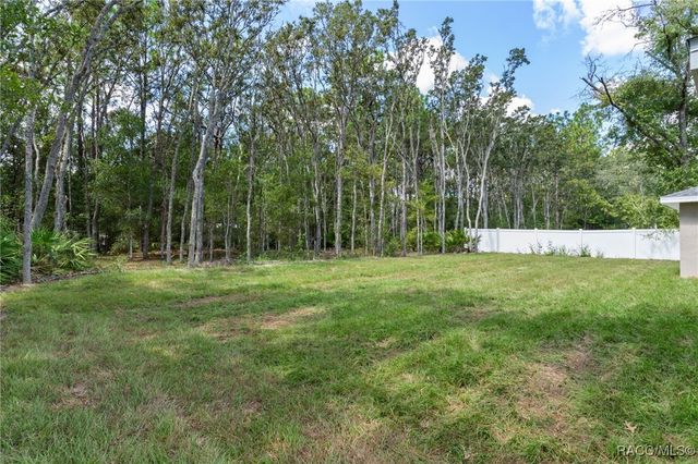 3155 W Randolph Lane, Citrus Springs, FL 34433