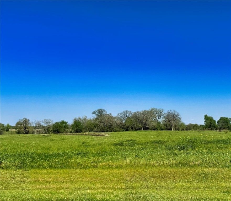 10068 Panther Creek Drive, Iola, TX 77861 — exterior