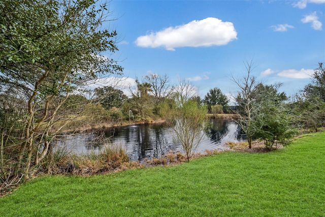 19407 Pine Tree Lane, Waller, TX 77484