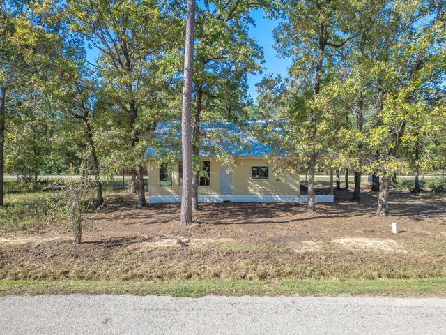 326 W Woodland Shores Drive, Point Blank, TX 77364
