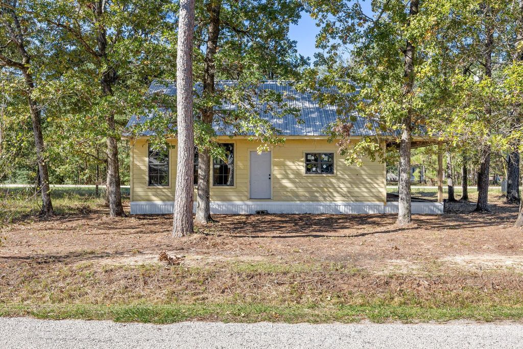 326 W Woodland Shores Drive, Point Blank, TX 77364