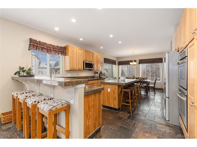 11575 Terrawood Ln, Parker, CO 80134