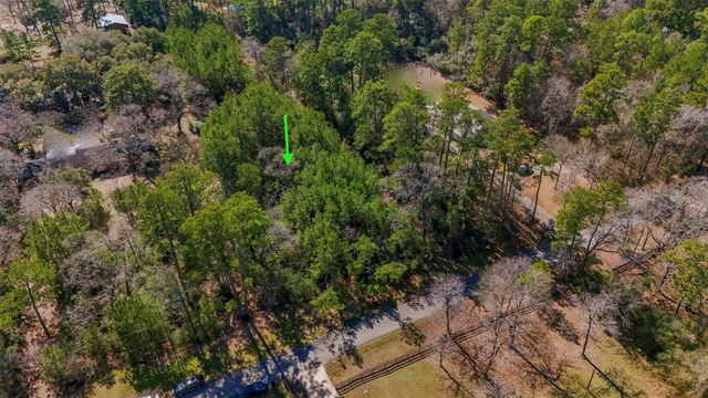 15245 Shady Oaks Drive, Stagecoach, TX 77355