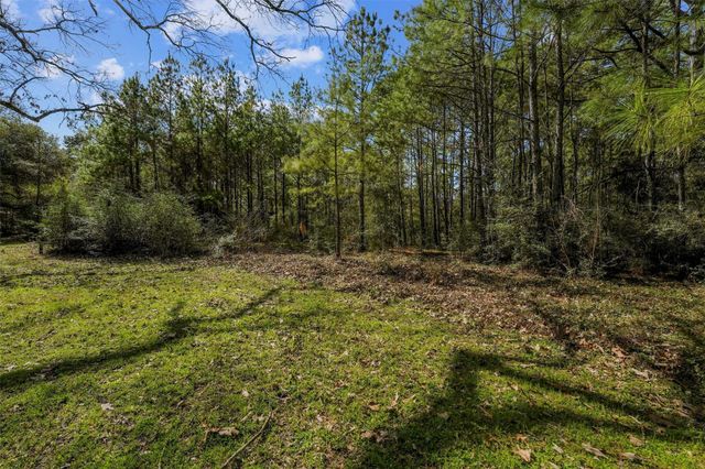 15245 Shady Oaks Drive, Stagecoach, TX 77355