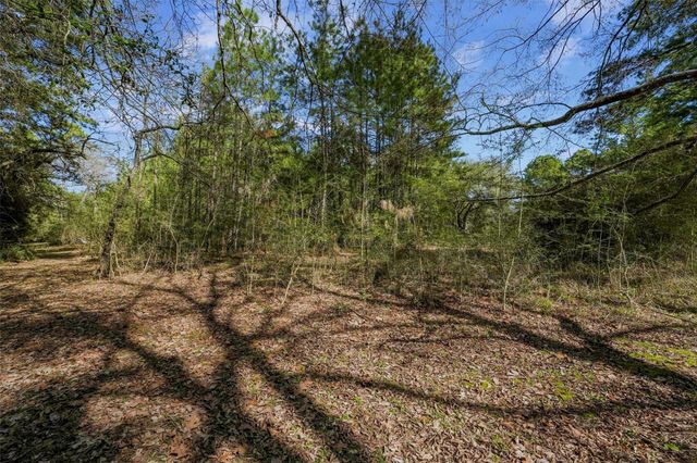 15245 Shady Oaks Drive, Stagecoach, TX 77355