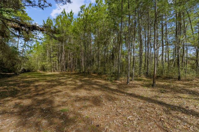 15245 Shady Oaks Drive, Stagecoach, TX 77355