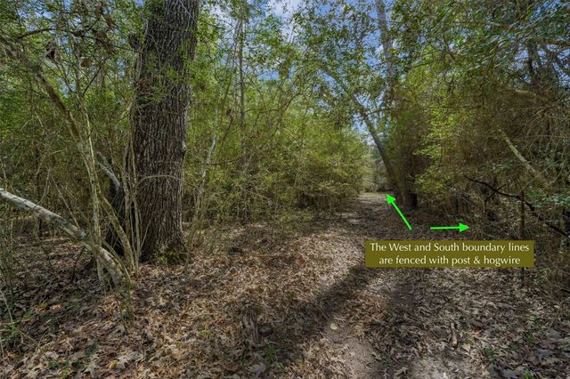 15245 Shady Oaks Drive, Stagecoach, TX 77355