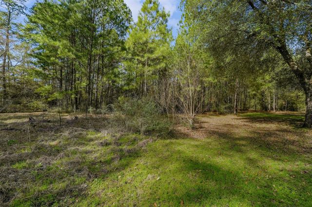 15245 Shady Oaks Drive, Stagecoach, TX 77355