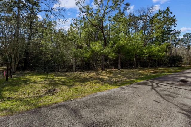 15245 Shady Oaks Drive, Stagecoach, TX 77355