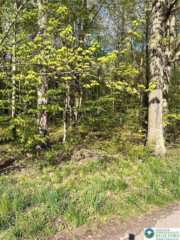 318 Birch Drive, Tunkhannock Twp, PA 18610