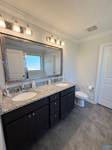 14358 Grey Goose Lane, Harvest, AL 35749