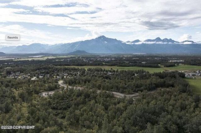1391 N Cedar Hills Drive, Palmer, AK 99645