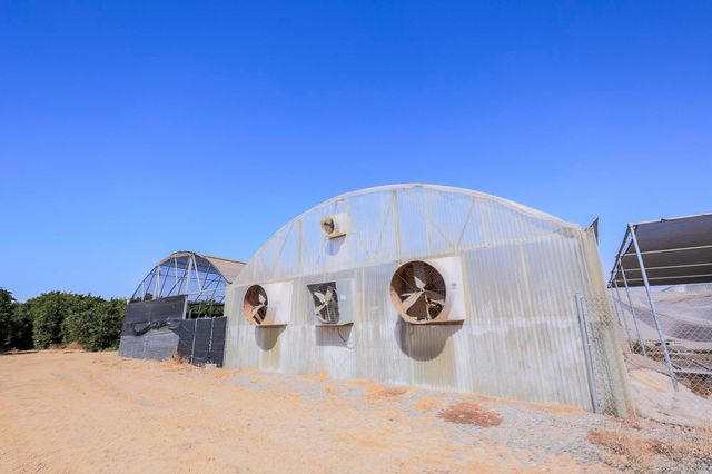 267 N Strathmore Avenue, Lindsay, CA 93247