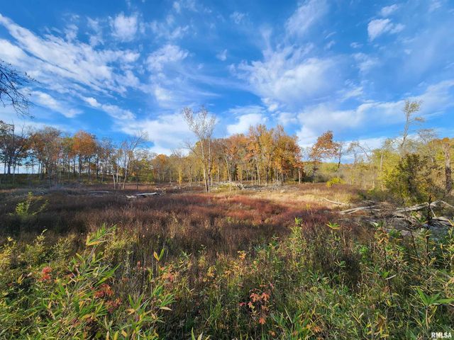 253 Ween Road, Desoto, IL 62924