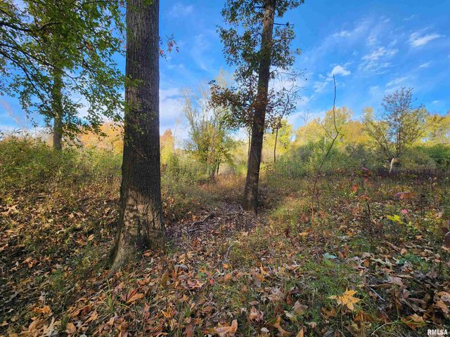 253 Ween Road, Desoto, IL 62924