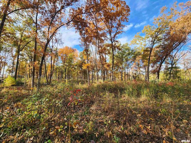 253 Ween Road, Desoto, IL 62924