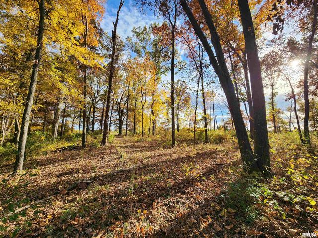 253 Ween Road, Desoto, IL 62924