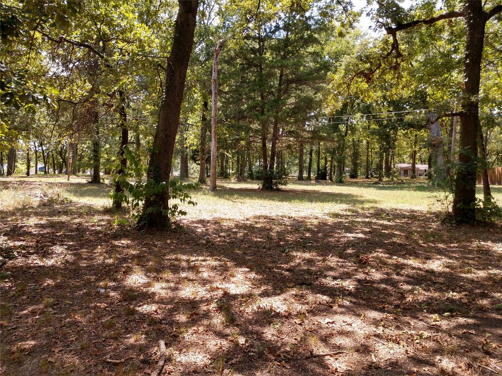 372 Punta Pescador, Gun Barrel City, TX 75147