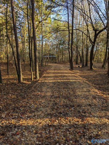 5433 County Road 106, Mentone, AL 35984