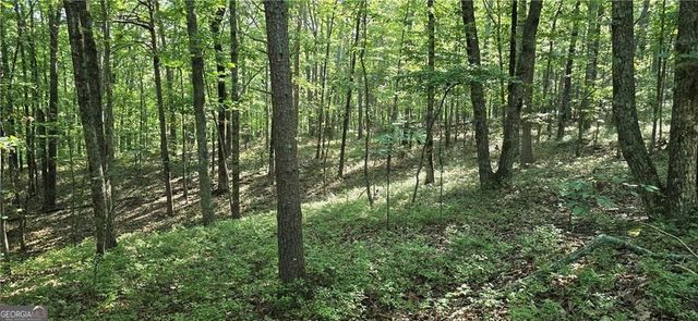 1356 Firetower Road, Jasper, GA 30143