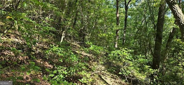 1356 Firetower Road, Jasper, GA 30143