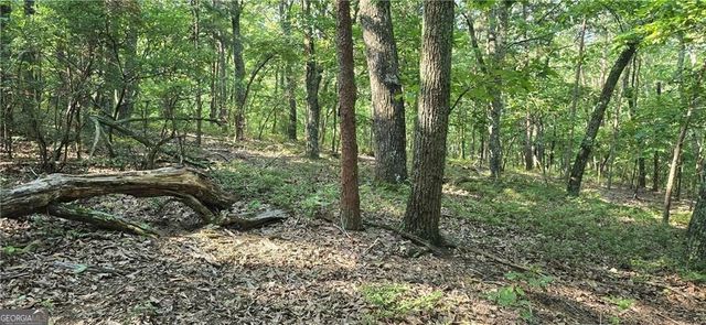 1356 Firetower Road, Jasper, GA 30143
