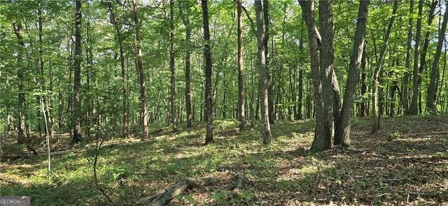 1356 Firetower Road, Jasper, GA 30143