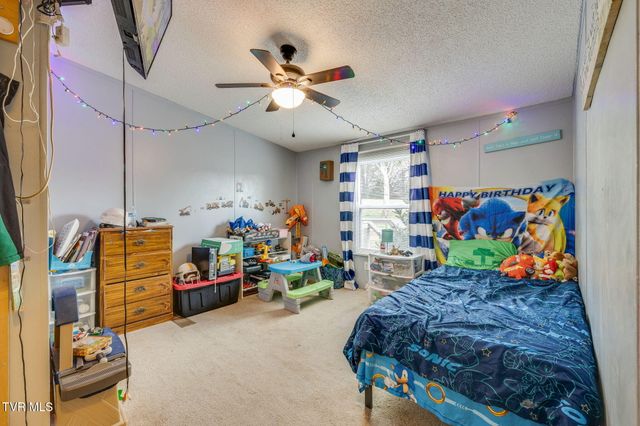 475 Bill West Road, Limestone, TN 37681