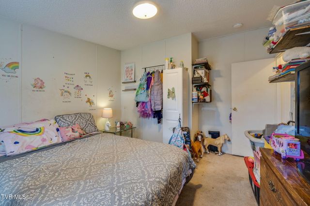 475 Bill West Road, Limestone, TN 37681