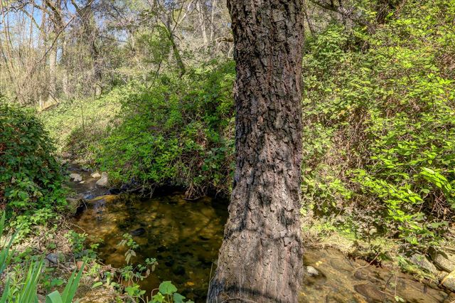 17862 Foxtail Dr, Penn Valley, CA 95946