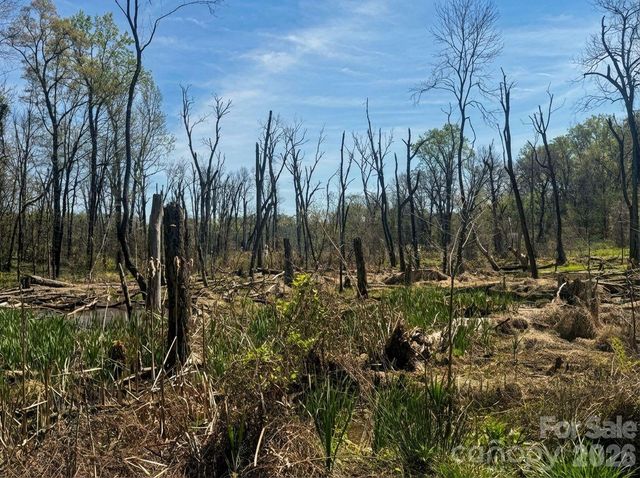 1423 Chelveston Drive, Charlotte, NC 28208