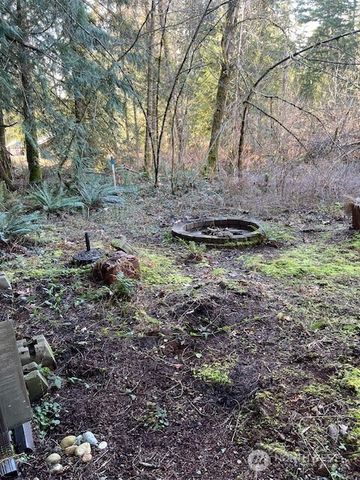 450 N Duckabush Drive E, Hoodsport, WA 98548