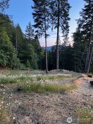 540 Wright Road, Orcas Island, WA 98245