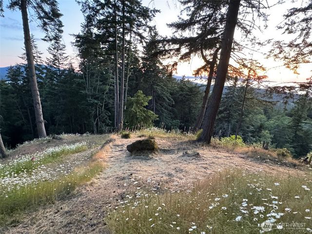 540 Wright Road, Orcas Island, WA 98245