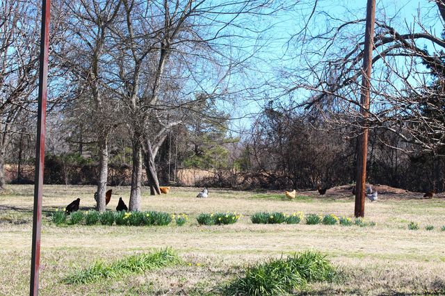 4776 NE County Road 2120 Road, Talco, TX 75487