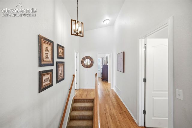 209 Avocet Loop, Colorado Springs, CO 80921