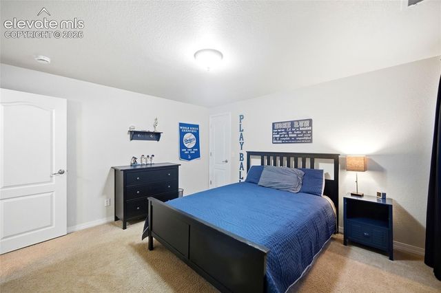 209 Avocet Loop, Colorado Springs, CO 80921