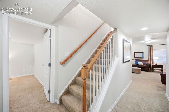 209 Avocet Loop, Colorado Springs, CO 80921