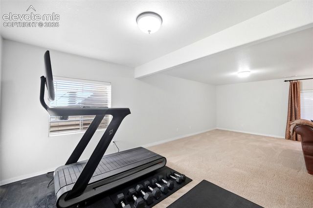 209 Avocet Loop, Colorado Springs, CO 80921