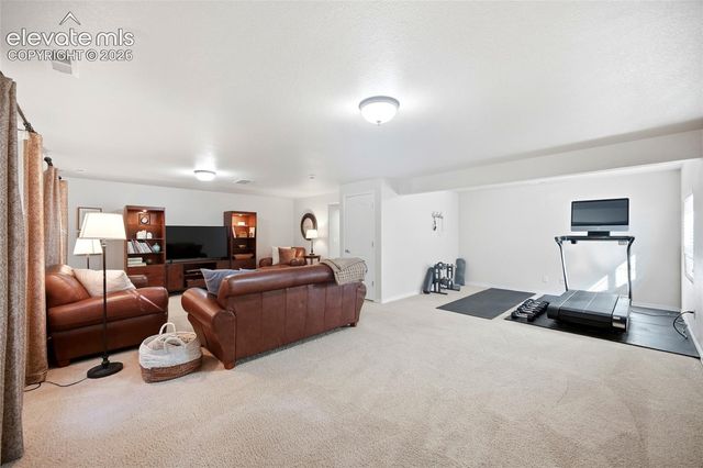 209 Avocet Loop, Colorado Springs, CO 80921