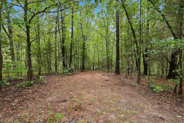 7731 Highway 70, E, Mc Ewen, TN 37101