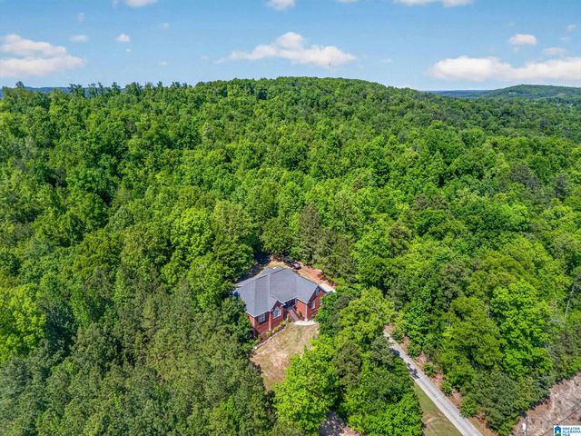 6074 CHULA VISTA ROAD, Southside, AL 35907