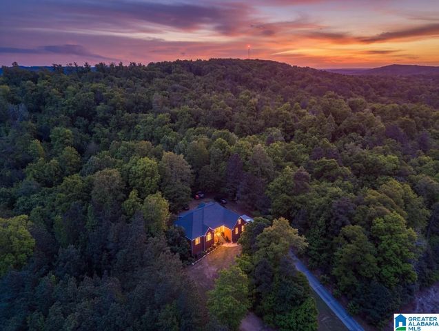 6074 CHULA VISTA ROAD, Southside, AL 35907