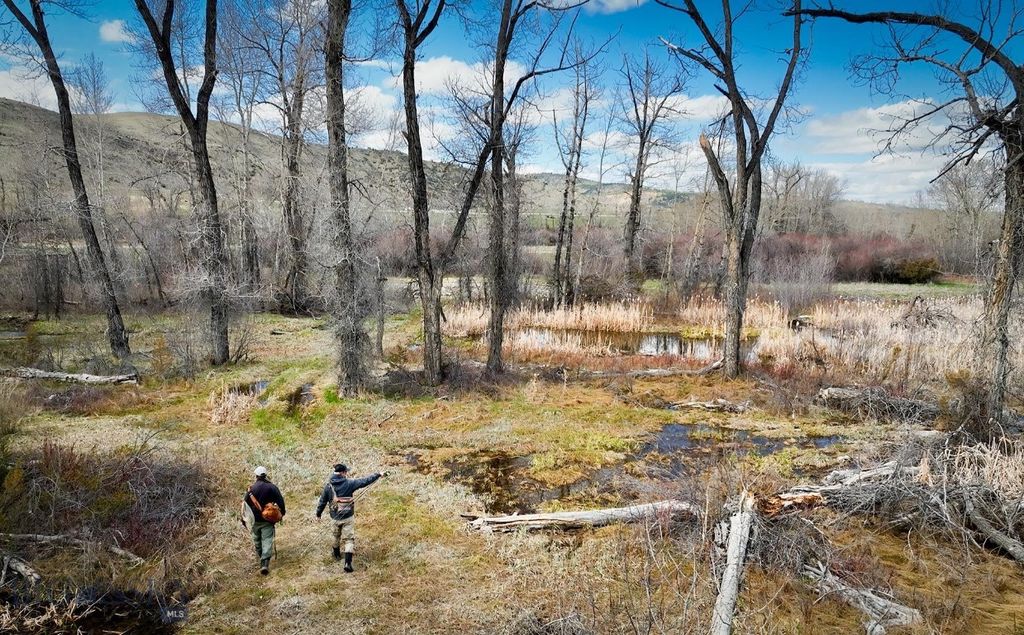 40 A Susie Creek Road, Mcleod, MT 59052 photo 47