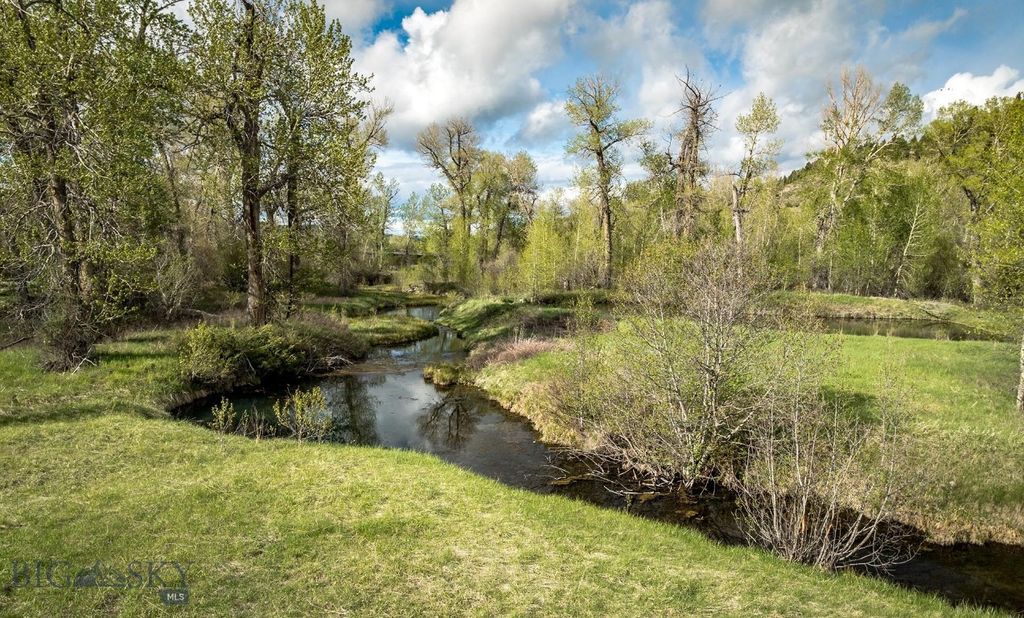 40 A Susie Creek Road, Mcleod, MT 59052 photo 56